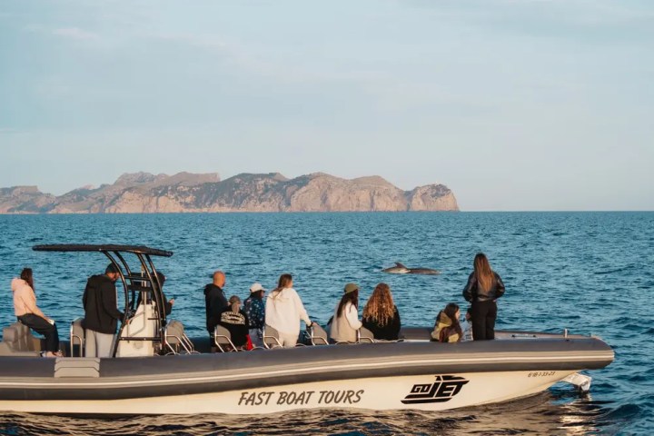 Boat with tourists observing a whale in the ocean near rocky islands.