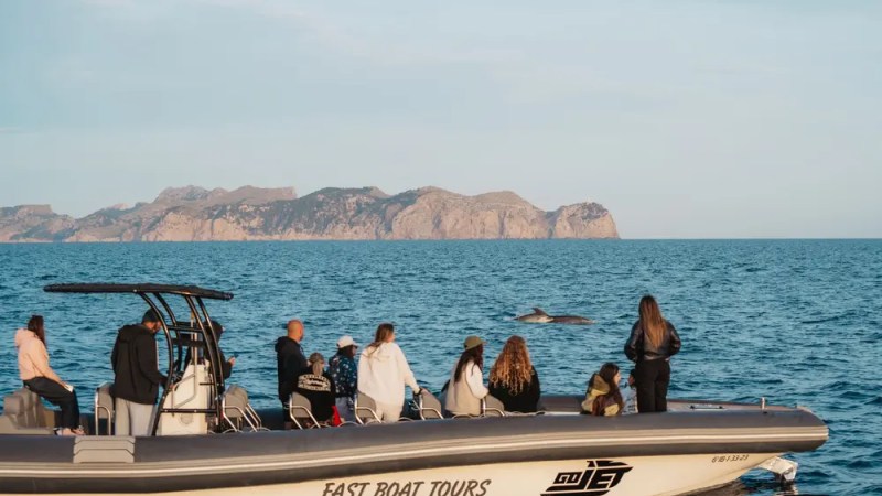 Boat with tourists observing a whale in the ocean near rocky islands.